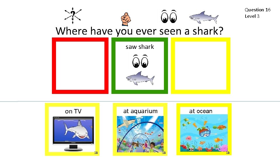 Question 16 Level 3 Where have you ever seen a shark? saw shark at
