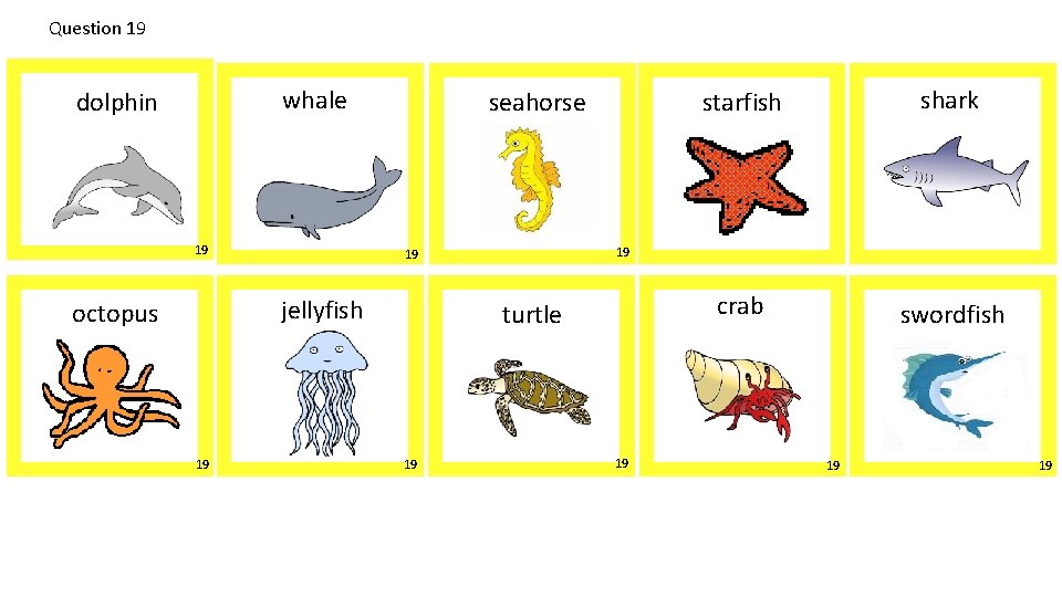 Question 19 whale dolphin 19 seahorse 19 turtle 19 shark crab swordfish 19 19