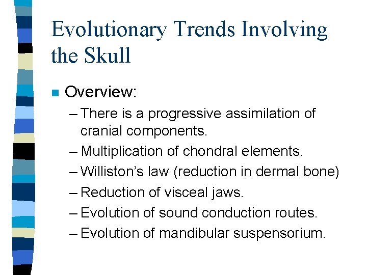 Evolutionary Trends Involving the Skull n Overview: – There is a progressive assimilation of