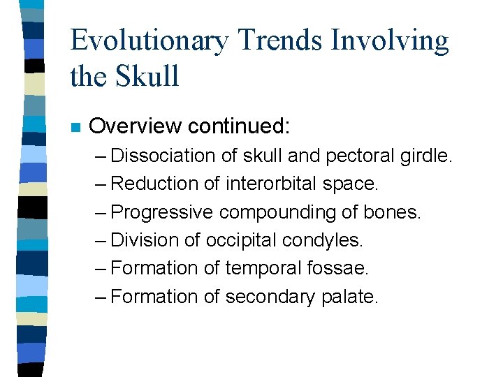 Evolutionary Trends Involving the Skull n Overview continued: – Dissociation of skull and pectoral