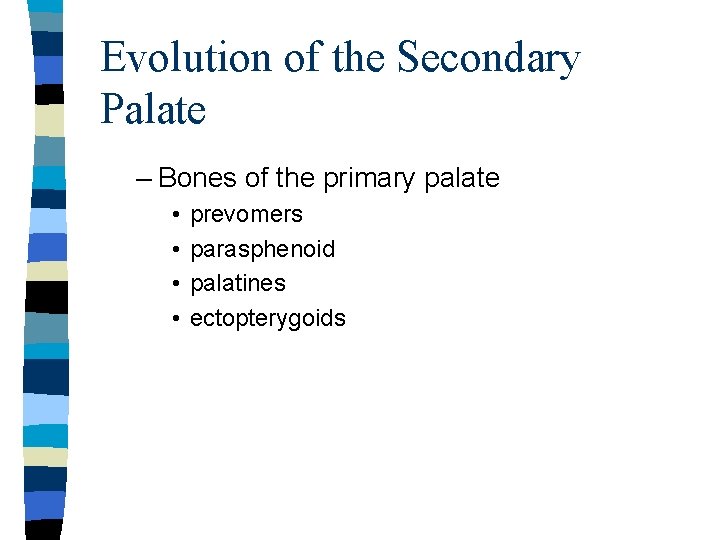 Evolution of the Secondary Palate – Bones of the primary palate • • prevomers