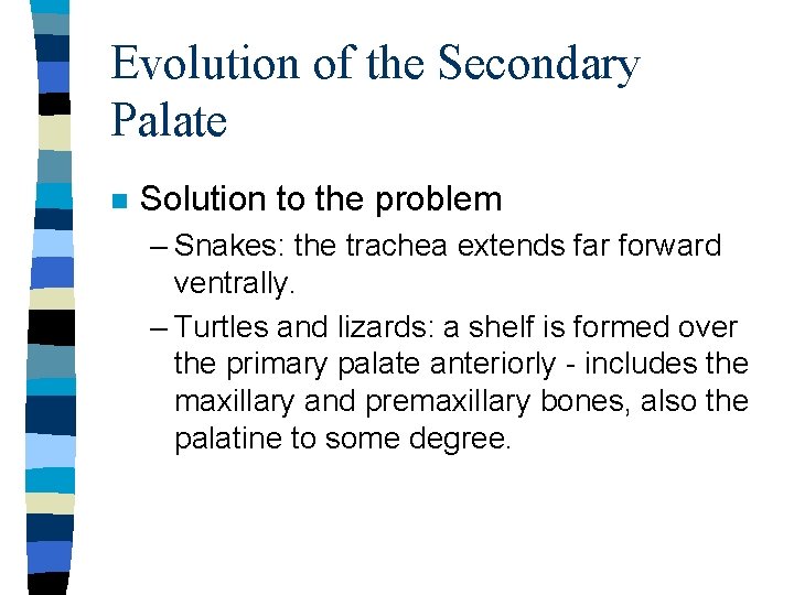 Evolution of the Secondary Palate n Solution to the problem – Snakes: the trachea