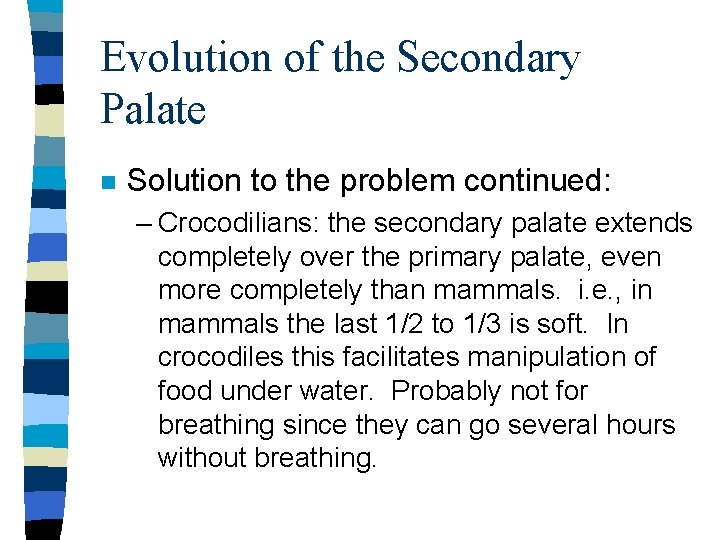 Evolution of the Secondary Palate n Solution to the problem continued: – Crocodilians: the