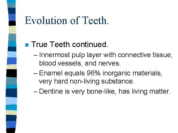 Evolution of Teeth. n True Teeth continued. – Innermost pulp layer with connective tissue,