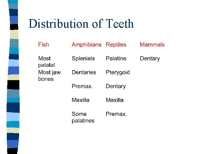 Distribution of Teeth 