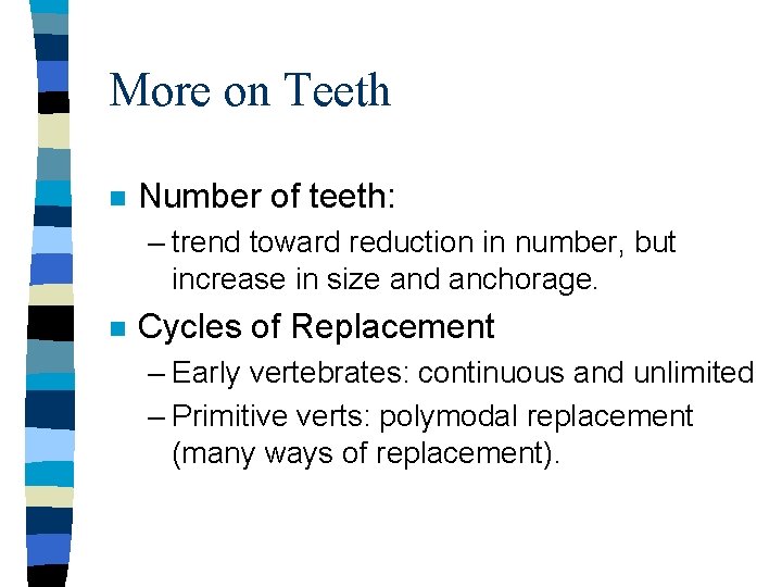 More on Teeth n Number of teeth: – trend toward reduction in number, but