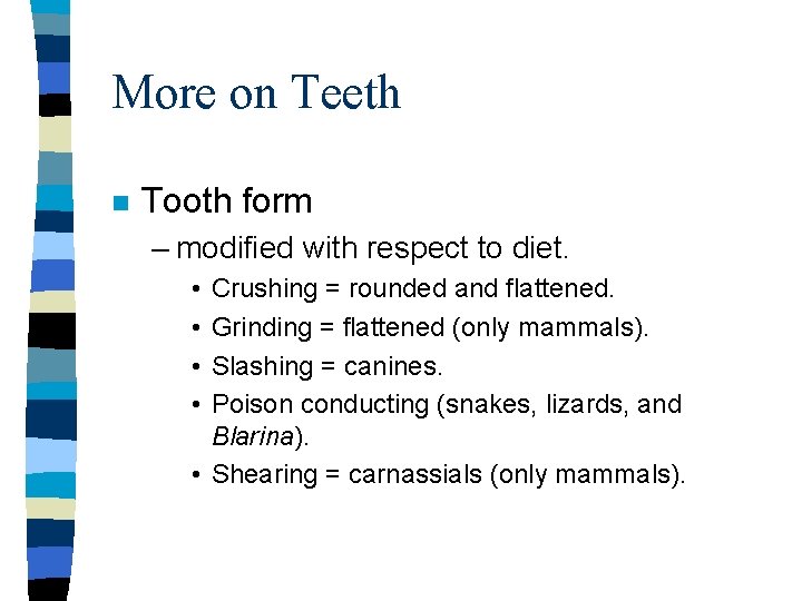 More on Teeth n Tooth form – modified with respect to diet. • •