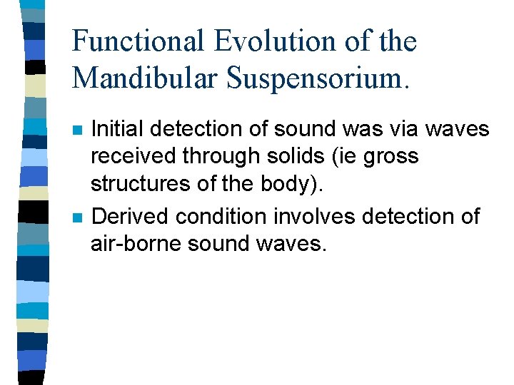 Functional Evolution of the Mandibular Suspensorium. n n Initial detection of sound was via