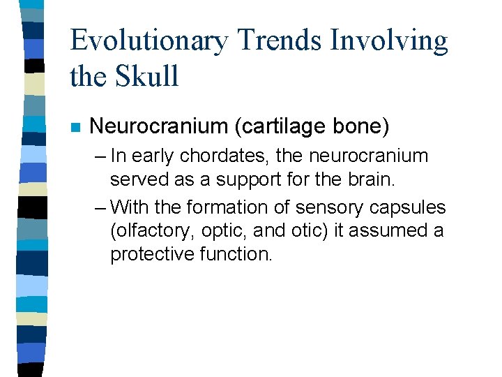 Evolutionary Trends Involving the Skull n Neurocranium (cartilage bone) – In early chordates, the