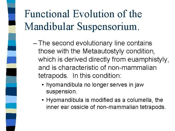 Functional Evolution of the Mandibular Suspensorium. – The second evolutionary line contains those with