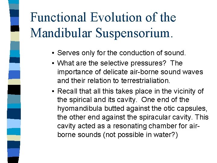 Functional Evolution of the Mandibular Suspensorium. • Serves only for the conduction of sound.