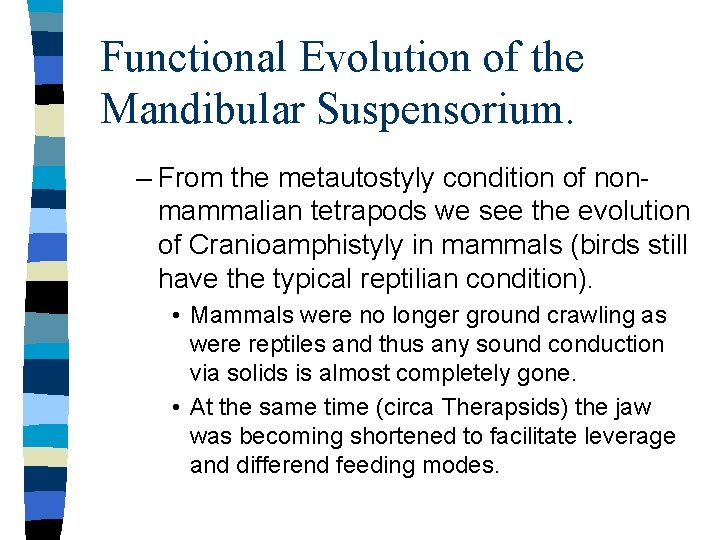 Functional Evolution of the Mandibular Suspensorium. – From the metautostyly condition of nonmammalian tetrapods