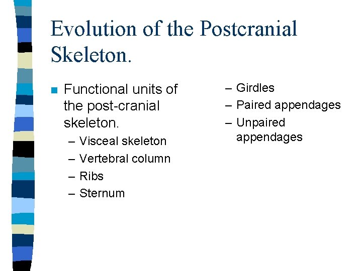 Evolution of the Postcranial Skeleton. n Functional units of the post-cranial skeleton. – –