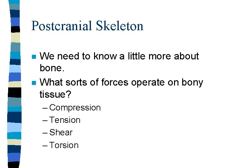 Postcranial Skeleton n n We need to know a little more about bone. What