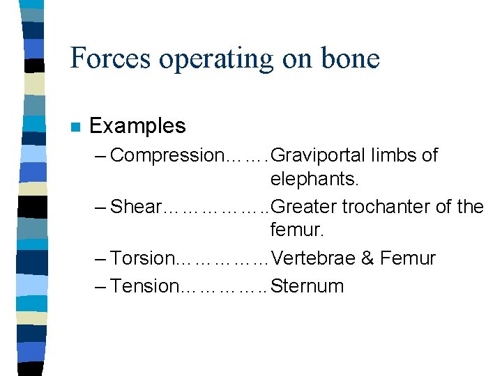 Forces operating on bone n Examples – Compression……. Graviportal limbs of elephants. – Shear…………….