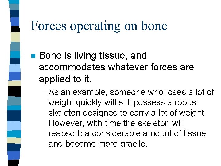 Forces operating on bone n Bone is living tissue, and accommodates whatever forces are