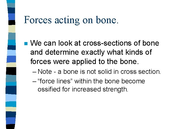 Forces acting on bone. n We can look at cross-sections of bone and determine