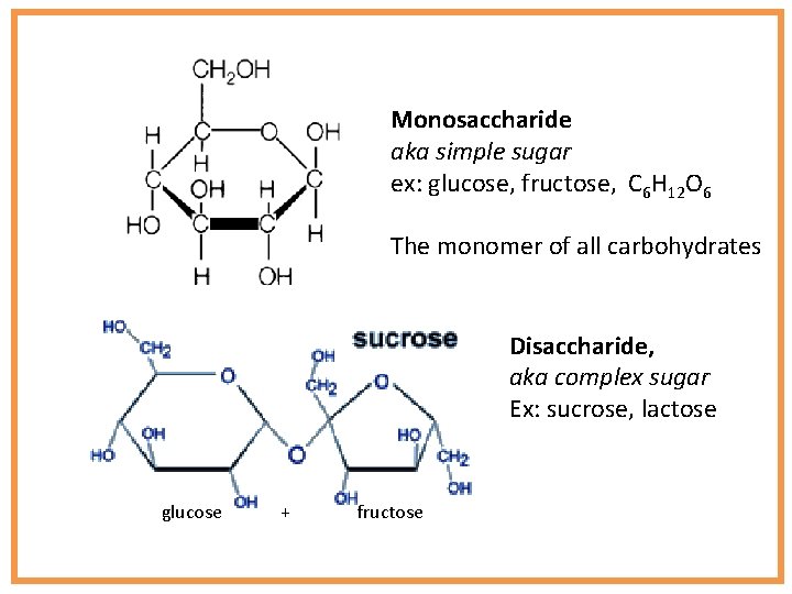 Monosaccharide aka simple sugar ex: glucose, fructose, C 6 H 12 O 6 The