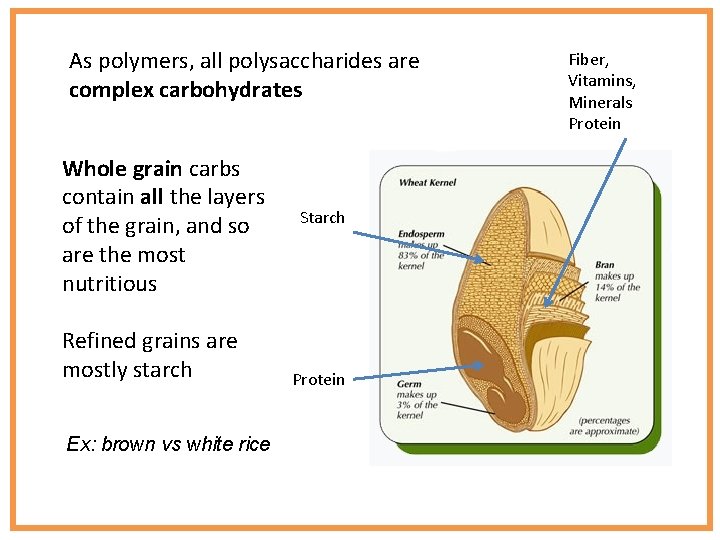 As polymers, all polysaccharides are complex carbohydrates Whole grain carbs contain all the layers
