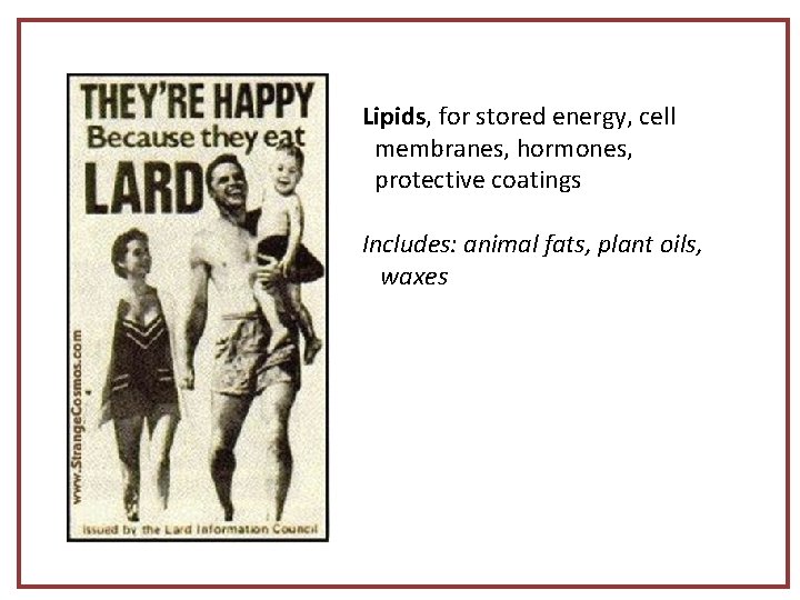 Lipids, for stored energy, cell membranes, hormones, protective coatings Includes: animal fats, plant oils,