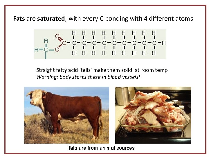 Fats are saturated, with every C bonding with 4 different atoms Straight fatty acid