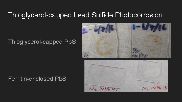 Thioglycerol-capped Lead Sulfide Photocorrosion Thioglycerol-capped Pb. S Ferritin-enclosed Pb. S 