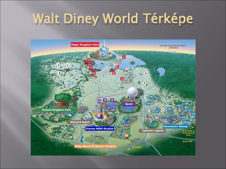 Walt Diney World Térképe 