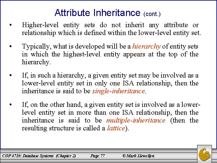 Attribute Inheritance (cont. ) • Higher-level entity sets do not inherit any attribute or
