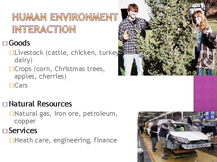 � Goods �Livestock (cattle, chicken, turkey, dairy) �Crops (corn, Christmas trees, apples, cherries) �Cars