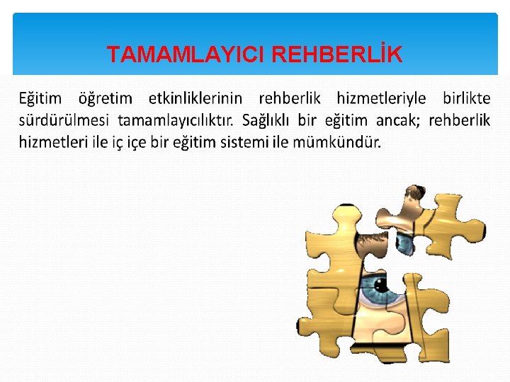 TAMAMLAYICI REHBERLİK 