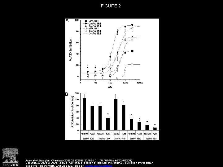 FIGURE 2 Journal of Biological Chemistry 2006 28122786 -22793 DOI: (10. 1074/jbc. M 512486200)