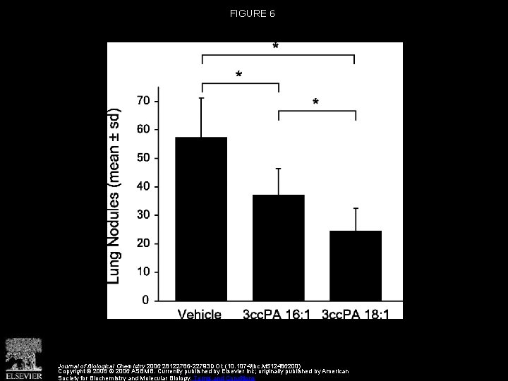 FIGURE 6 Journal of Biological Chemistry 2006 28122786 -22793 DOI: (10. 1074/jbc. M 512486200)