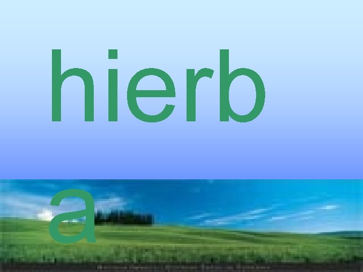 hierb a 