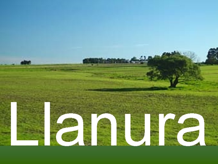 Llanura 