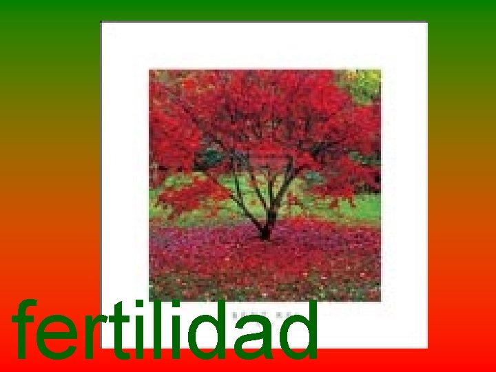 fertilidad 