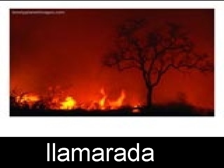 llamarada 