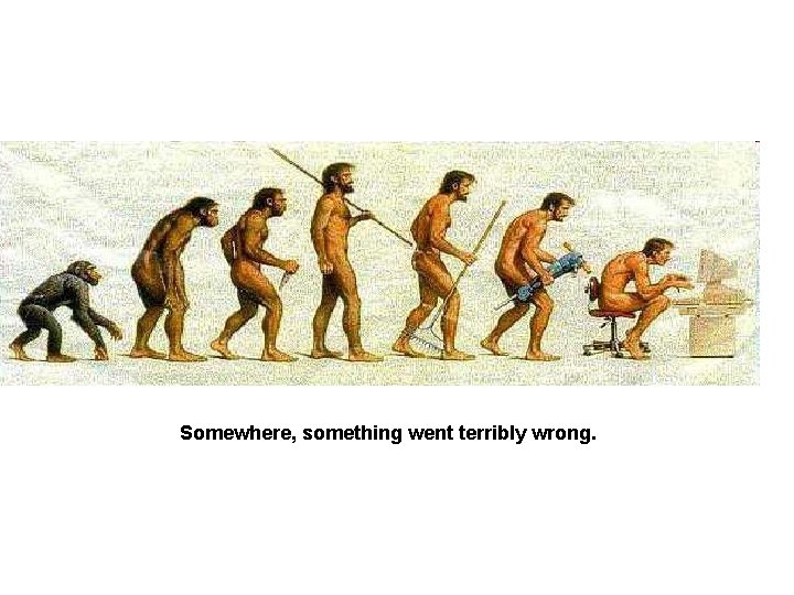 Somewhere, something went terribly wrong. 