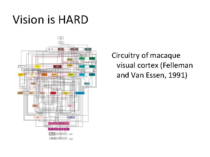 Vision is HARD Circuitry of macaque visual cortex (Felleman and Van Essen, 1991) 