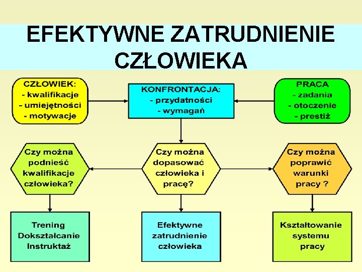 EFEKTYWNE ZATRUDNIENIE CZŁOWIEKA 28 