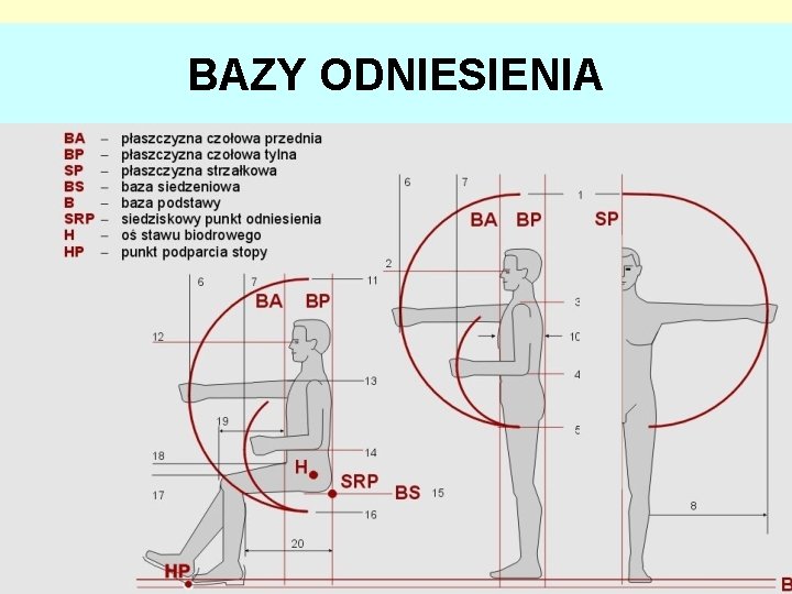 BAZY ODNIESIENIA 