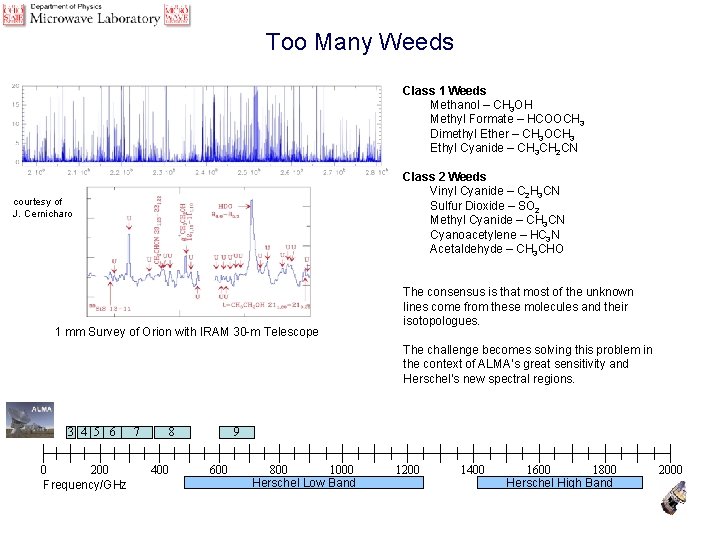 Too Many Weeds Class 1 Weeds Methanol – CH 3 OH Methyl Formate –