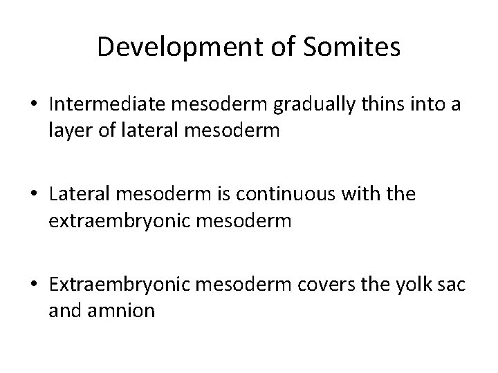 Development of Somites • Intermediate mesoderm gradually thins into a layer of lateral mesoderm