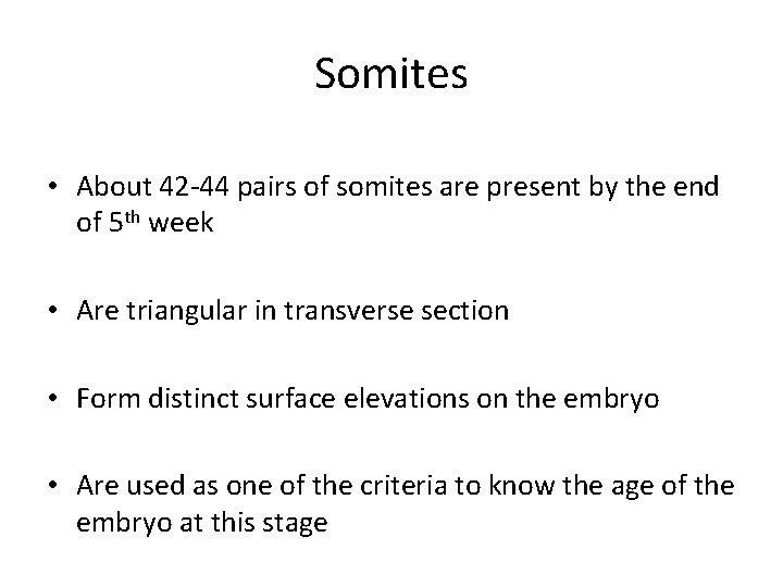 Somites • About 42 -44 pairs of somites are present by the end of