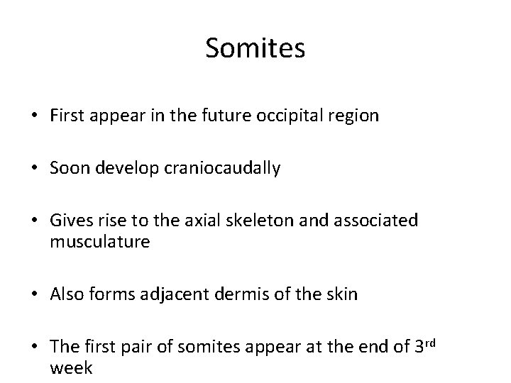 Somites • First appear in the future occipital region • Soon develop craniocaudally •