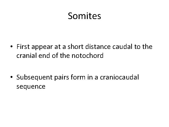 Somites • First appear at a short distance caudal to the cranial end of