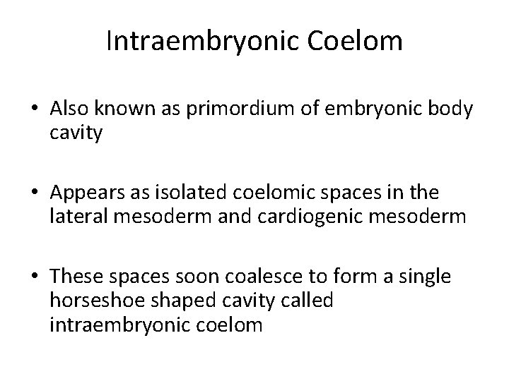 Intraembryonic Coelom • Also known as primordium of embryonic body cavity • Appears as