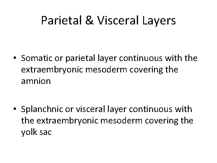 Parietal & Visceral Layers • Somatic or parietal layer continuous with the extraembryonic mesoderm