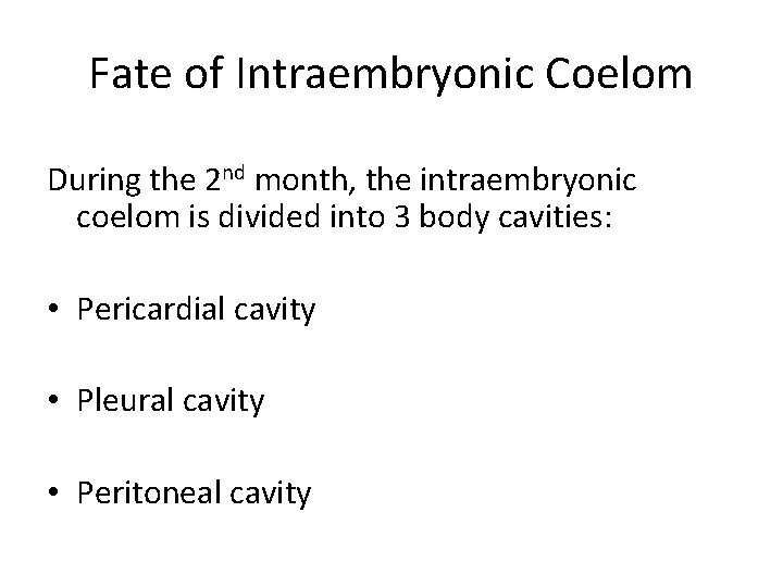 Fate of Intraembryonic Coelom During the 2 nd month, the intraembryonic coelom is divided