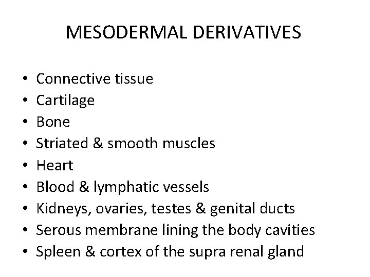 MESODERMAL DERIVATIVES • • • Connective tissue Cartilage Bone Striated & smooth muscles Heart