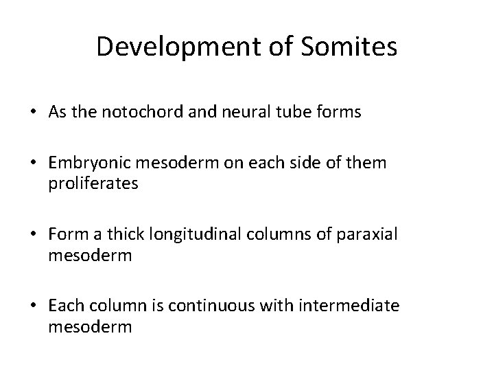 Development of Somites • As the notochord and neural tube forms • Embryonic mesoderm